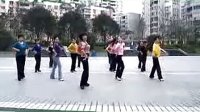  周思萍2014广场舞系列-印度桑巴健身操舞 全套详细分解