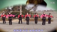 盛世兴业广场舞：《我的蒙古马》正背面演示及教学