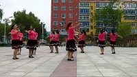 春花广场舞 大中国 圈舞 中四步 含口令分解动作_广场舞