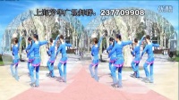 上海芳华广场舞--梦中的唐古拉
