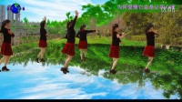 河源市龙川县姐妹舞动广场舞演示：为何爱情它总是让我心痛。