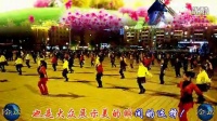 珲春金达莱广场舞 自由舞步36步雪莲
