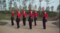 《蓝色的蒙古高原》广场舞蹈视频大全初学者_标清