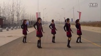 清影广场舞 伤不起32步 广场健身舞视频_高清