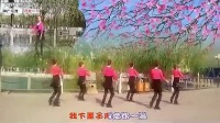 爱的期限-dance-兴隆矿雨露广场舞