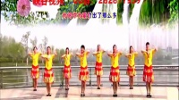 峡谷视频广场舞《寂寞的人伤心的歌》