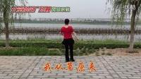 北京加州广场舞我从草原来背面_标清