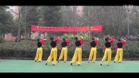 周思萍广场舞系列  新疆舞(2014)  背面
