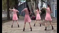 2014最新广场舞蹈视频大全 广场舞教学 屌丝的寂寞_标清