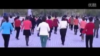 中老年广场舞 一生无悔14步背面视频教学动作分解下载[标清版]