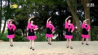 广场舞精选-快乐的跳吧