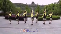 广场舞梦中的唐古拉广场舞教学视频分解慢动作.flv_高清