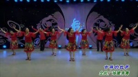 舞蹈视频 广场舞教学 萍萍 杨艺 応子 紫蝶 春英 广场舞《吉祥的拉萨》