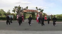 中医十八式养生广场舞社区推广版