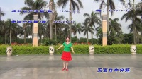 索洁广场舞 原创 美丽的姑娘跟我来 由湖南沅陵紫玫瑰1队演示