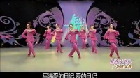 爱在天地间（歌词字幕）杨艺赵雅芝2013最新全民广场舞 超清