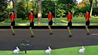 美玉广场舞：兔子舞 原创