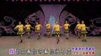 陈兴瑜-(你是我的罗密欧)-杨艺美久广场舞-中央电视台-CCTV五频道