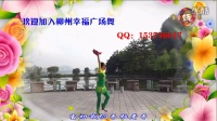 柳州幸福广场舞演示：（负心人)编舞：幸福爱人（含背面+分解动作