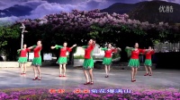 兴梅广场舞原创舞蹈《菊花爆满山》正面 背面 分解教学