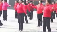 十五步滦南金辉广场集体舞