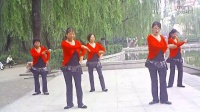 朝圣西藏.正背面演示----泰山东湖菊芳广场舞