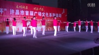 “大正杯”许昌市首届广场文化系列活动广场舞比赛决赛视频.