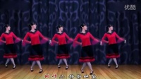 精彩激烈的视频：惠汝广场舞《秋风无情》