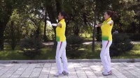 佳木斯快乐之舞广场舞 有氧健身操综合运动分解动作-玛尼情歌