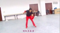 红卫姝辰广场舞教学师范视频 《活宝》