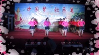 姜堰琴韵广场舞—跳到北京