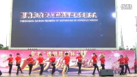 莒南县筵宾镇合佳乐参加阜丰杯广场舞大赛获得优秀奖。