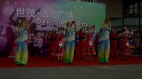 美丽中国梦 广场舞决赛