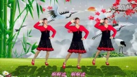 滨海新区汉沽和悦广场舞（我要飞）编舞：单纯