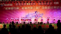 “桂林银行杯”桂林市第三届广场舞蹈比赛总决赛优先奖
