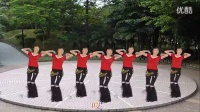 凤凰香香广场舞—阿哥阿妹跳起来（背面示范）_高清