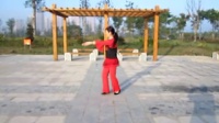 蘇北君子蘭廣場舞系列052-泛水荷塘