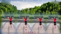 舞动中国广场舞视频高清下载  舞动中国广场舞教学