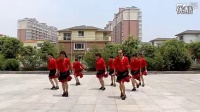 2014最新广场舞蹈视频大全 广场舞水墨丹青