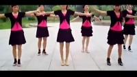 2014最新广场舞蹈视频大全 广场舞_好运来_