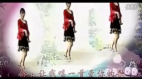 2014最新广场舞视频 红尘情歌背面附一