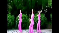峡谷视频广场舞《采槟榔》