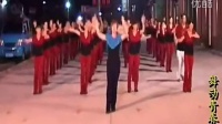 最新广场舞蹈视频大全 迪斯科广场舞最炫民族风舞动青春小版_