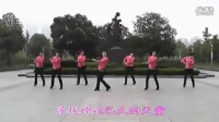 最新广场舞视频大全 动动广场舞专辑_爱上民族风