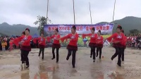 皮林广场舞-2014年“甲戌节广场舞比赛（2）