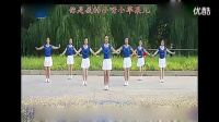 原版小苹果广场舞教学视频分解动作_标清_标清