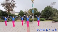 宜兴绿茶广场舞              《自由行走的花》              応子广场舞系列_640x360