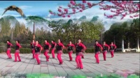 芳姿广场舞《高原风》【团体】舞动亚洲 编舞--爱吾 演示--芳姿健身队