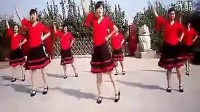 2014最新广场舞蹈视频大全张灯结彩_高清