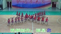 肃宁西泽城舞蹈队《多嘎多耶》肃宁县第四届农民文化艺术节广场舞大赛，十佳舞蹈队。
